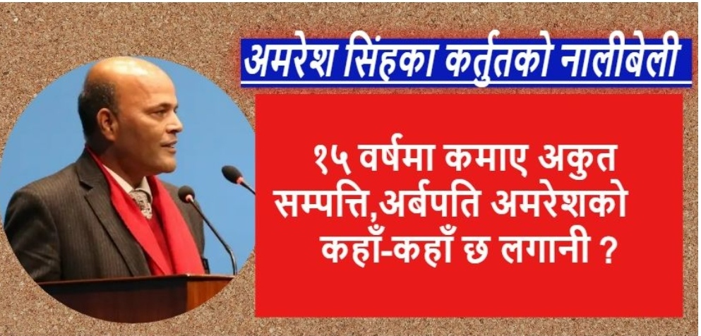 १५ वर्षमा कमाए अकुत सम्पत्ति, अर्बपति अमरेशको कहाँ कहाँ छ लगानी ?