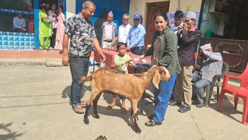 बिजया दशमीको शुभकामना आदानप्रदान तथा चिट्ठा उपहार बितरण कार्यक्रम बिनायकमा सम्पन्न 